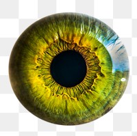 Green eye png iris sticker, iridology image, transparent background