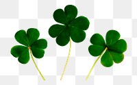 Clover leaf  png sticker, Saint Patrick's Day transparent background