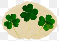 Clover leaf  png sticker, Saint Patrick's Day torn paper, transparent background