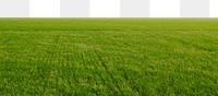 Paddy field png border, transparent background