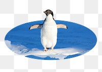 Penguin png sticker, North Pole animal photo badge, transparent background