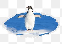 Penguin png sticker, North Pole animal photo in ripped paper badge, transparent background