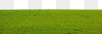 Green grass field png border, transparent background