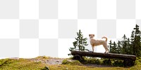 Dog in nature png border, transparent background