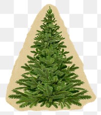 Christmas tree png sticker, winter holiday torn paper, transparent background