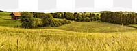 Wheat field png border, transparent background, ripped paper, agriculture