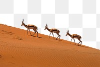 PNG desert deer, collage element, transparent background