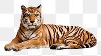 Tiger png sticker, wild animal transparent background