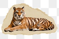 Tiger png sticker, wildlife torn paper, transparent background