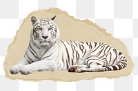 Siberian tiger png sticker, wildlife torn paper, transparent background
