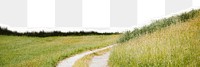 Grass landscape png sticker, transparent background