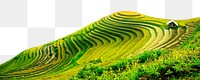 Rice terrace png border, transparent background, agriculture