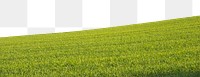 Green grass field png border, transparent background