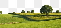 Summer field png border, transparent background