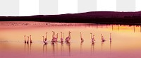 Flamingos at sunset png border, transparent background