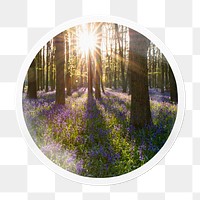 Forest png sticker, nature in circle frame, transparent background