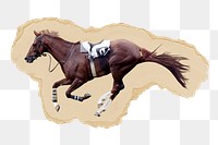 Race horse png sticker, ripped paper, transparent background