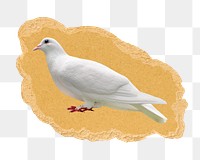 Homing pigeon png sticker, ripped paper, transparent background