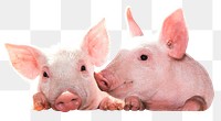 Pigs png sticker, farm animal image, transparent background