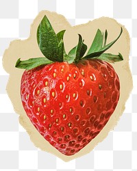 Strawberry fruit png sticker, ripped paper, transparent background