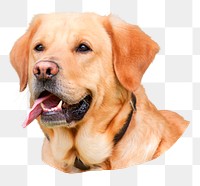 Golden Retriever dog png sticker, pet animal cut out, transparent background