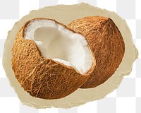 Coconut, fruit png sticker, ripped paper, transparent background