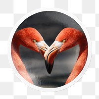 Flamingo heads png sticker, animal in circle frame, transparent background