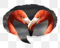 Flamingo heads png animal sticker, ripped paper speech bubble, transparent background