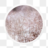 Winter flowers png sticker, aesthetic circle frame, transparent background