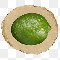 Lime, fruit png sticker, ripped paper, transparent background