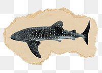 Whale shark png sticker, ripped paper, transparent background