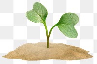 Growing sprout png sticker, transparent background