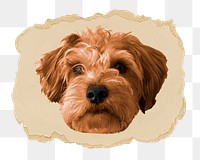 Miniature Schnauzer puppy png sticker, ripped paper, transparent background