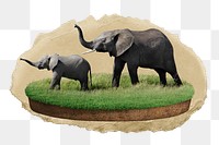 Elephants png sticker, ripped paper, transparent background