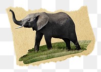 Elephant png sticker, ripped paper, transparent background