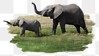 Elephants png sticker, animal, transparent background