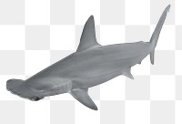 Hammerhead shark png sticker, aquatic animal cut out, transparent background