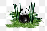 Panda bear png sticker, animal, transparent background