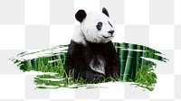Panda bear png sticker, animal, transparent background