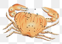 Crab constellation png sticker, zodiac animal cut out, transparent background