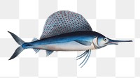 Sail fish png illustration sticker, transparent background