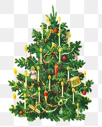 Png Christmas tree sticker, vintage illustration, transparent background