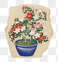 Plant png sticker, Ohara Koson-inspired artwork, transparent background, ripped paper badge, remixed by rawpixel