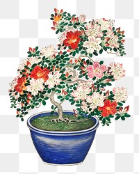 Plant png sticker, Ohara Koson-inspired artwork, transparent background, remixed by rawpixel