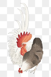 Png Ohara Koson's chicken sticker, vintage illustration, transparent background