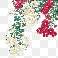 Png chrysanthemums sticker, Ohara Koson's vintage illustration, transparent background