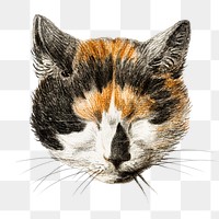 Png cat's head with closed eyes sticker, Jean Bernard's vintage illustration, transparent background