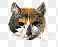 Png cat's head sticker, Jean Bernard's vintage illustration, transparent background
