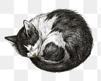 Png sleeping cat sticker, Jean Bernard's vintage illustration, transparent background