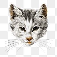 Png cat's head sticker, vintage illustration, transparent background